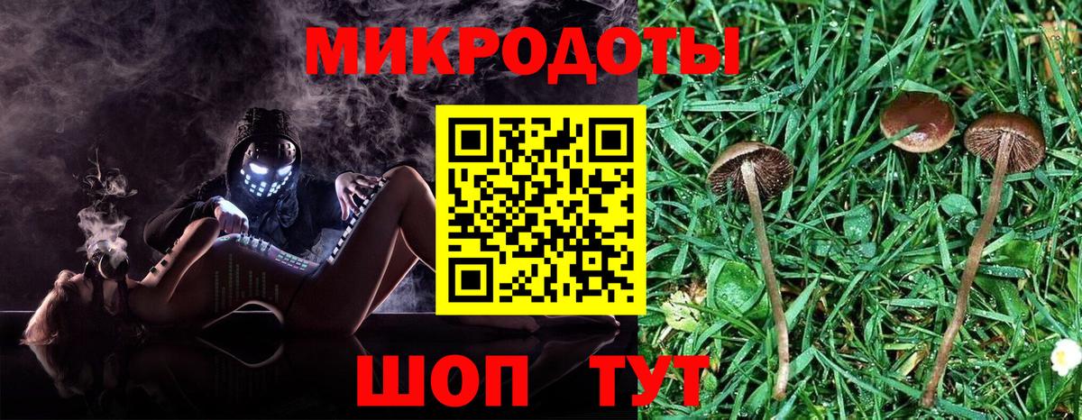Псилоцибиновые грибы мицелий Торжок